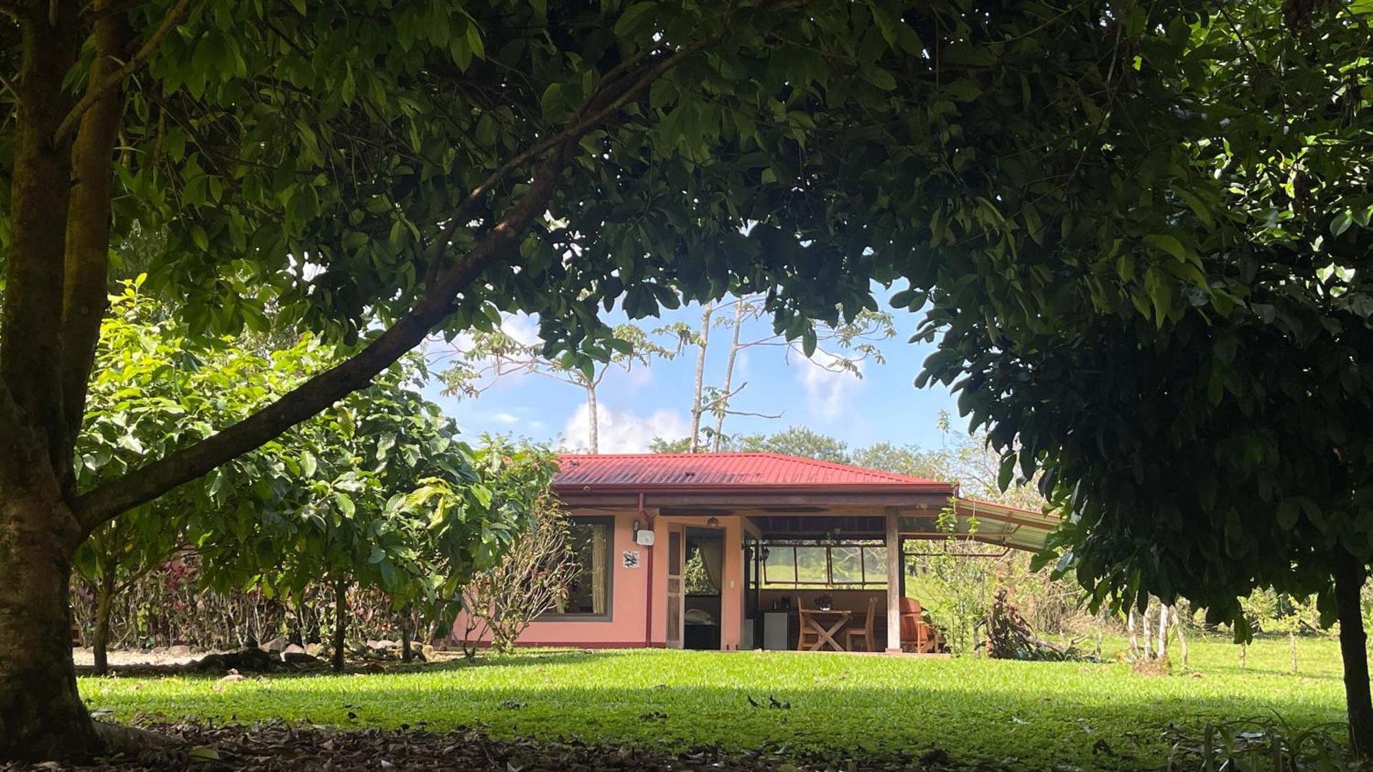 Mei Tai Cacao Lodge Bijagua Eksteriør bilde
