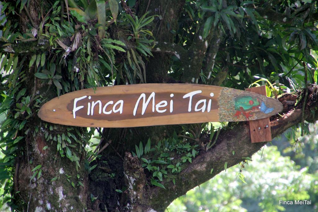 Mei Tai Cacao Lodge Bijagua Eksteriør bilde