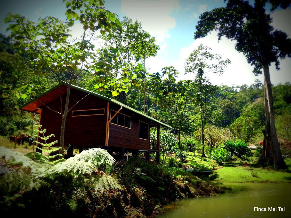 Mei Tai Cacao Lodge Bijagua Eksteriør bilde