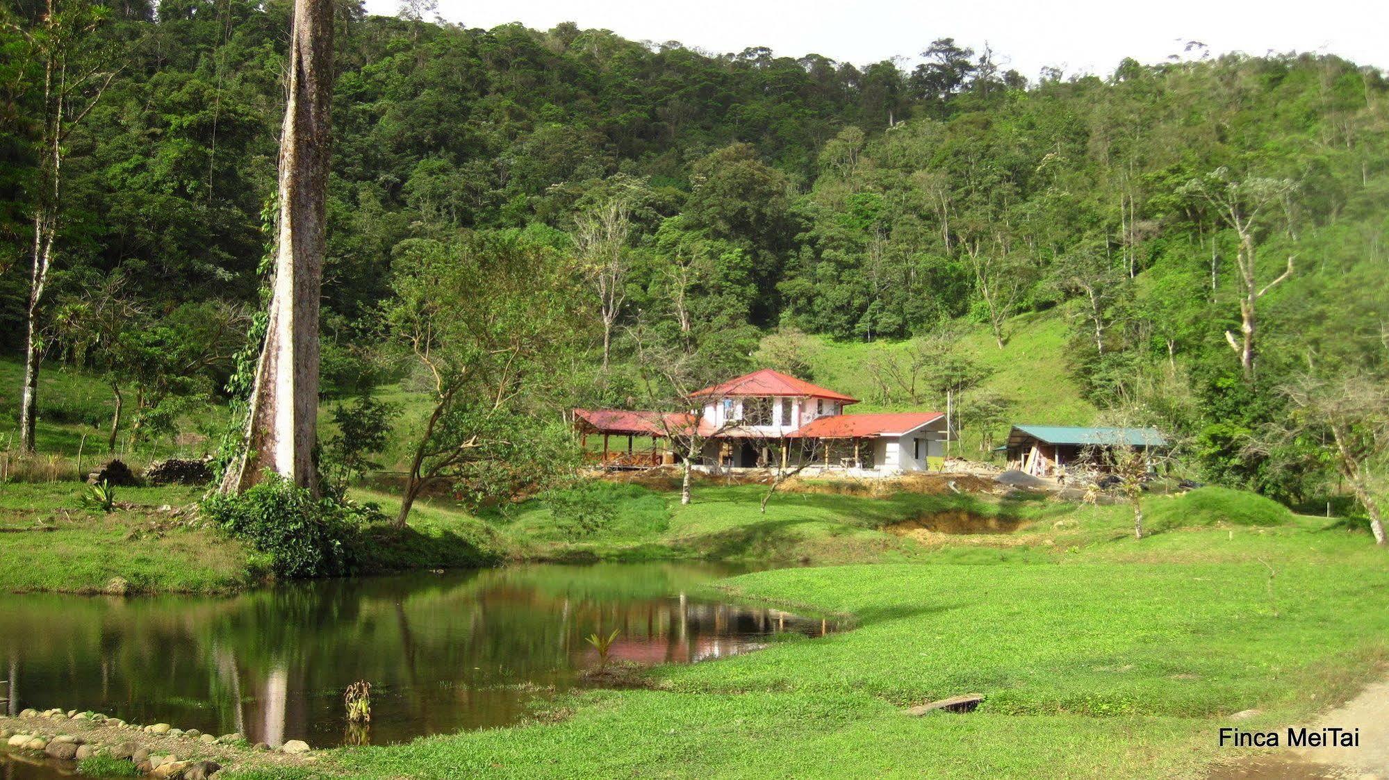 Mei Tai Cacao Lodge Bijagua Eksteriør bilde